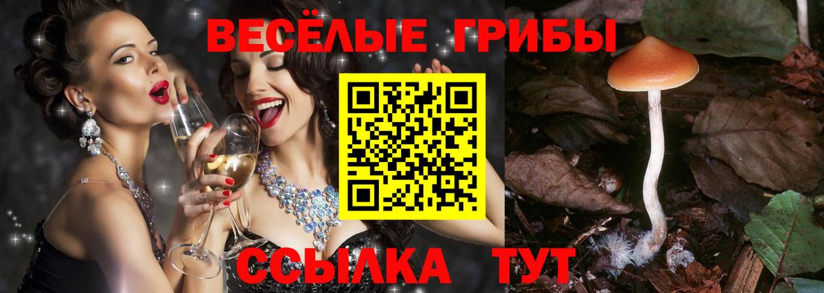 Новодвинск  Галлюциногенные грибы Psilocybe  Вход с VPN  Псилоцибиновые грибы мухоморы 